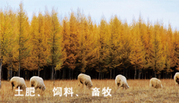 海能定氮儀在畜牧領(lǐng)域